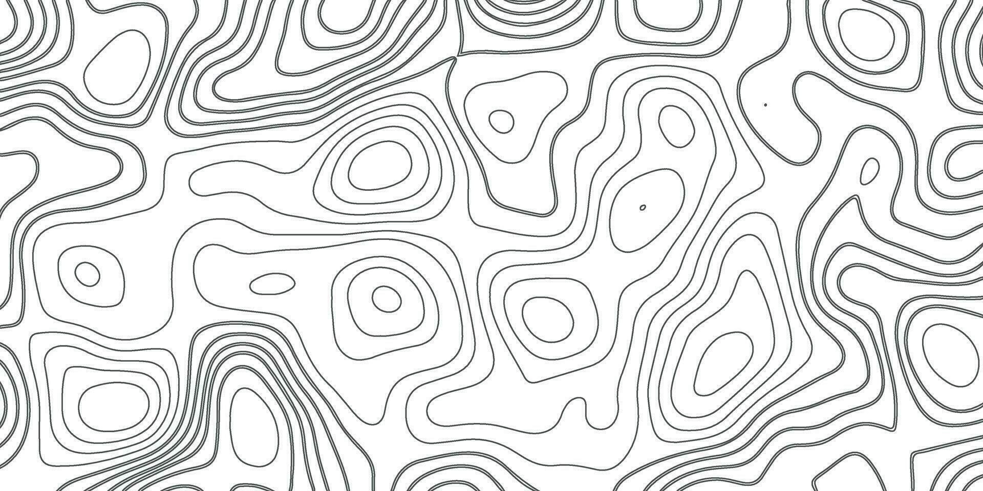Topographic Background. Gray and White Abstract Background with Wavy Lines. Black and White Pattern of Lines and Curves. Topographic Topography vector
