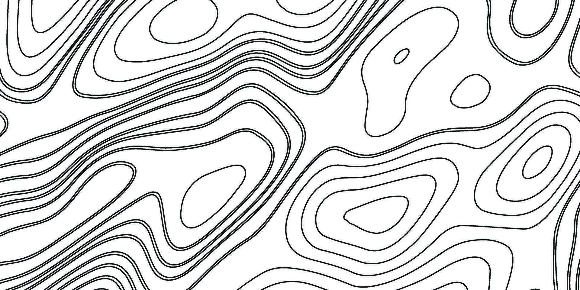 Topographic Line Background. Black and White Pattern vector