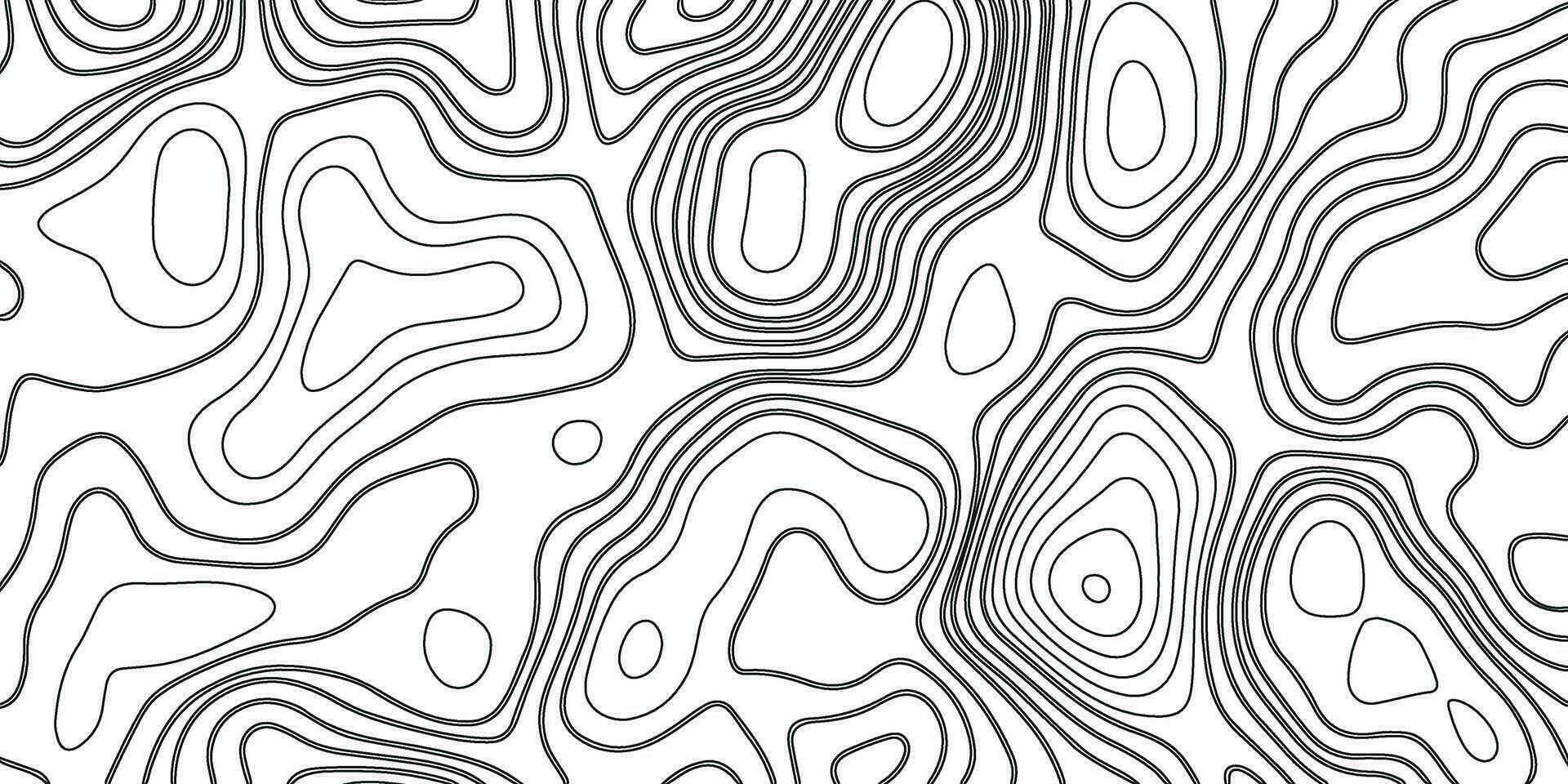 Topographic Black Line Background. Abstract Pattern with Lines vector