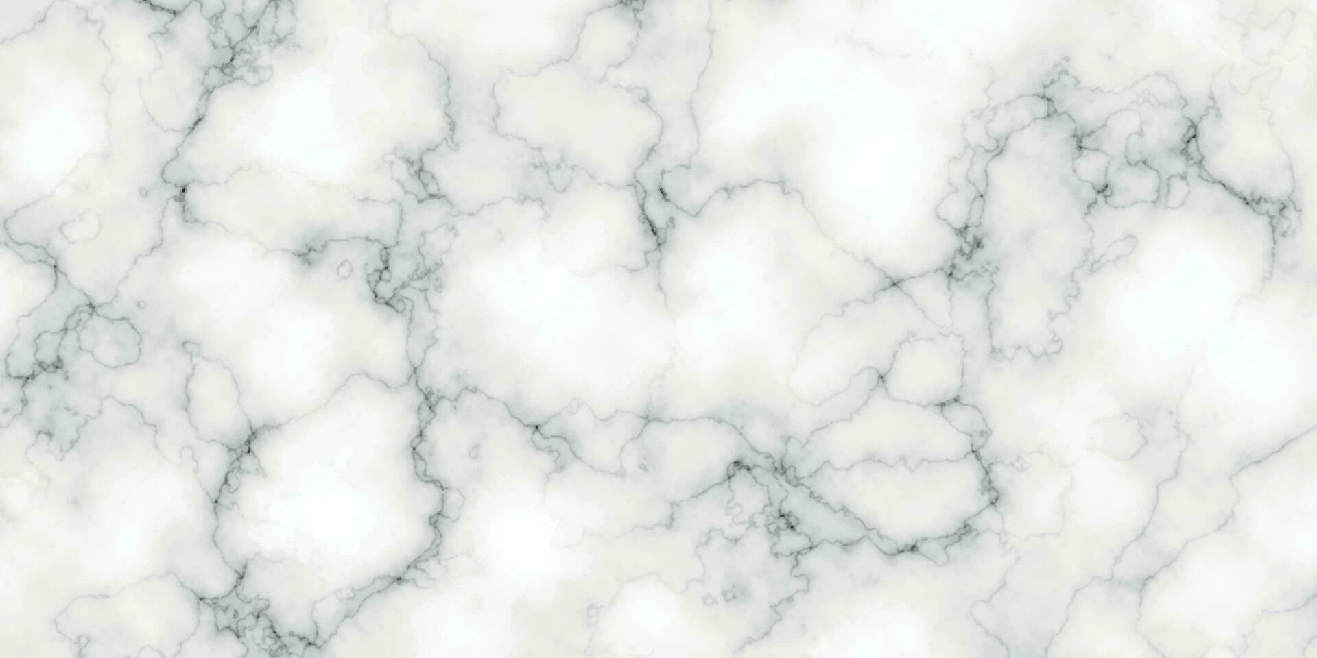 White marble texture and background. vector