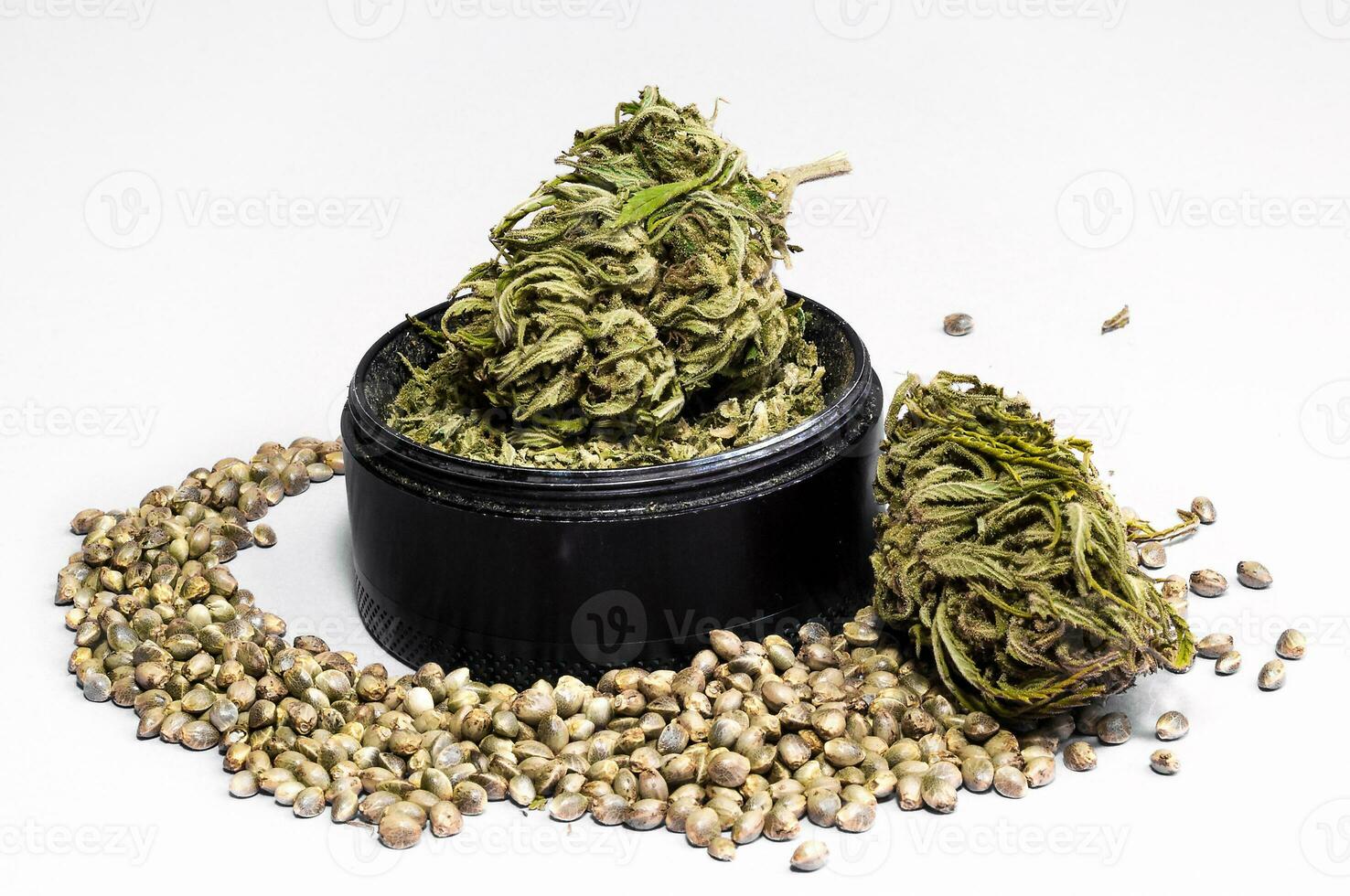 herb grinder full of crushed buds and dry flowers of medical marijuana surrounded by seeds close up on white background photo