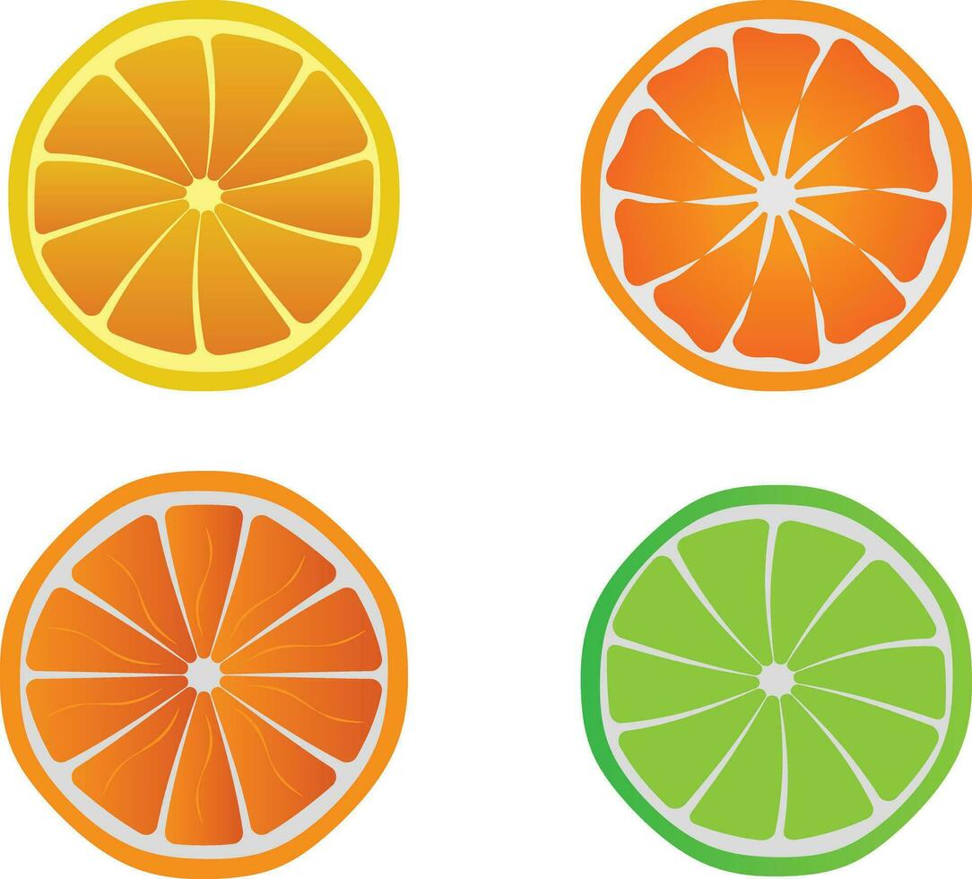 Fresh Orange lemon Fruits vector