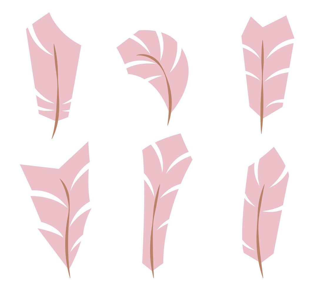 conjunto de rosado plumas en plano estilo. vector