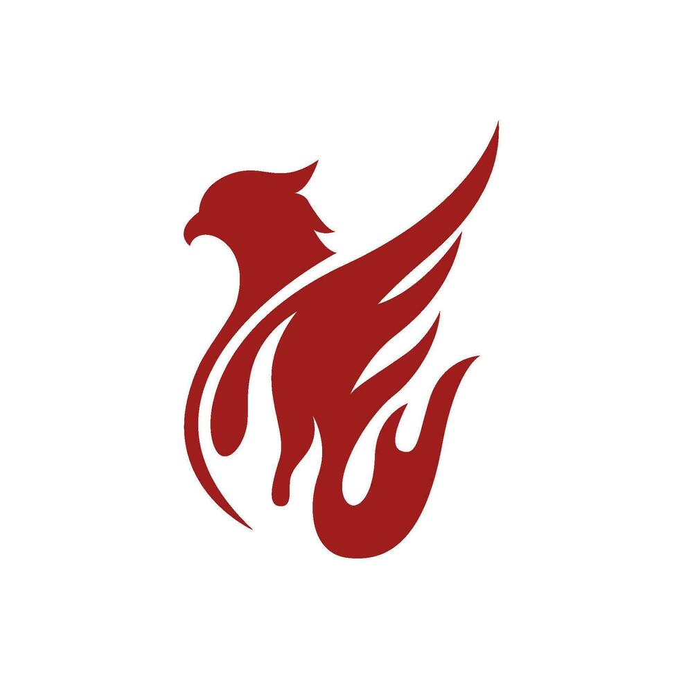 Falcon Logo Template vector