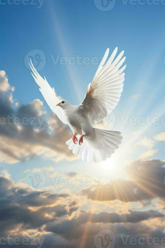 White dove ascends against peaceful sky symbolizing divine heavenly messages photo