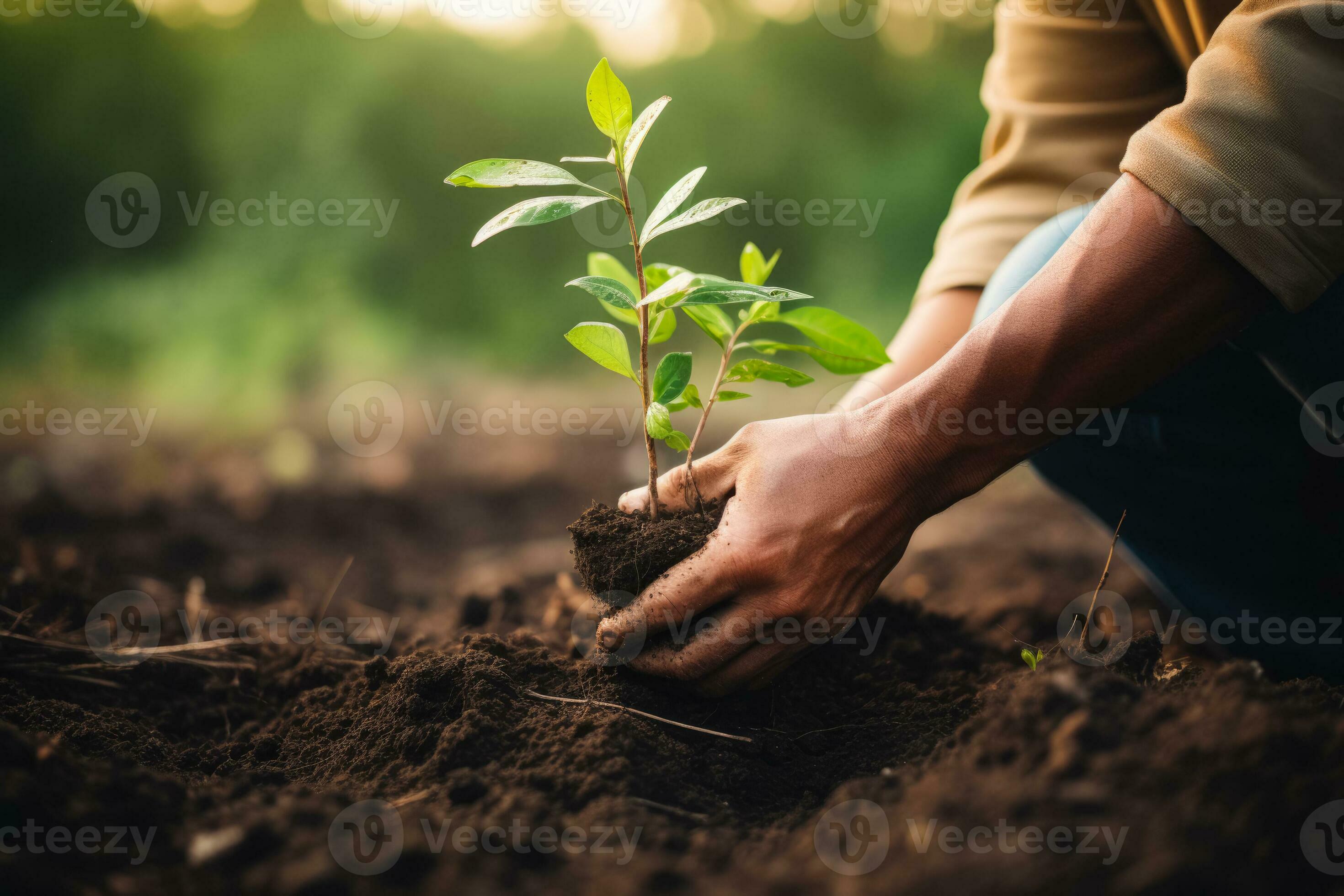 A cancer patient planting trees isolated on an earth toned gradient