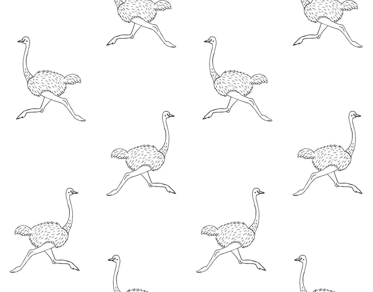 Vector seamless pattern of drawn black ostrich