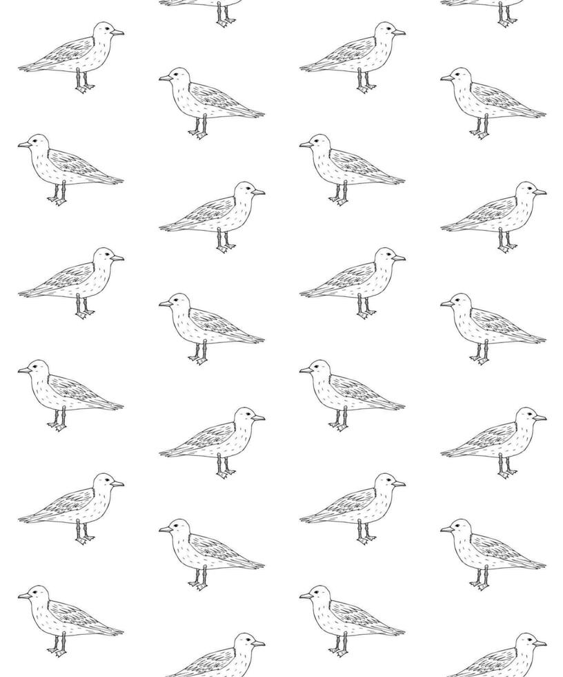 Vector seamless pattern of outline sketch sea gull