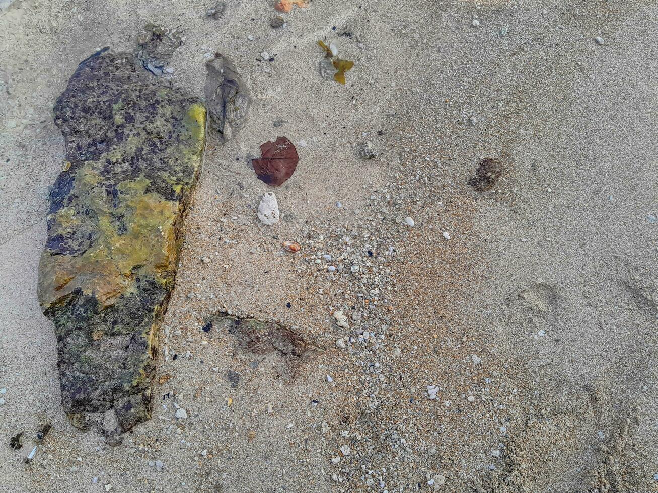 Full frame shot of Beautiful beach sand in the summer sun. photo