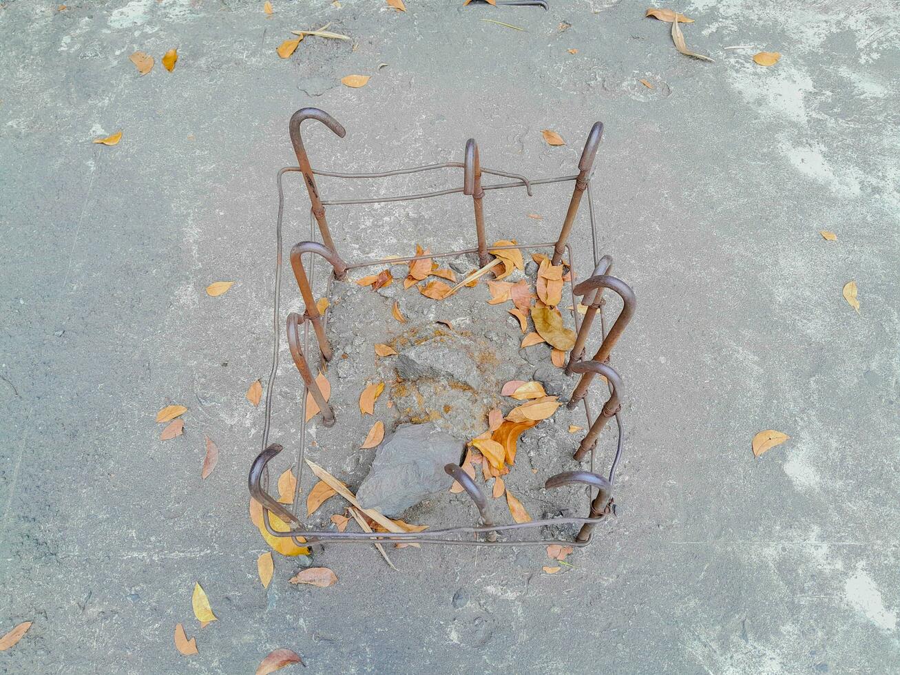 autumn leaves on a stone photo