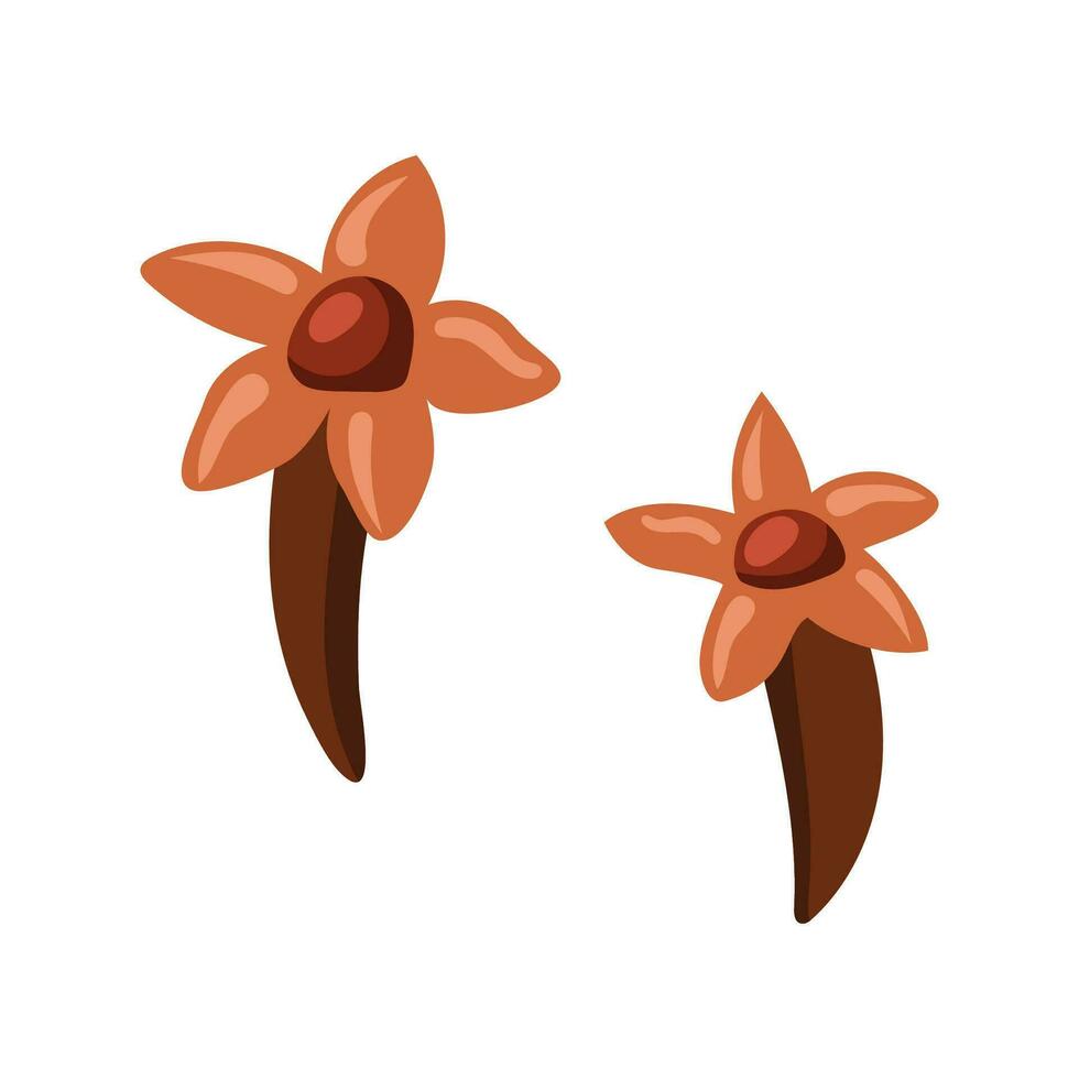 Two pieces of spice cloves. Isolated vector illustration