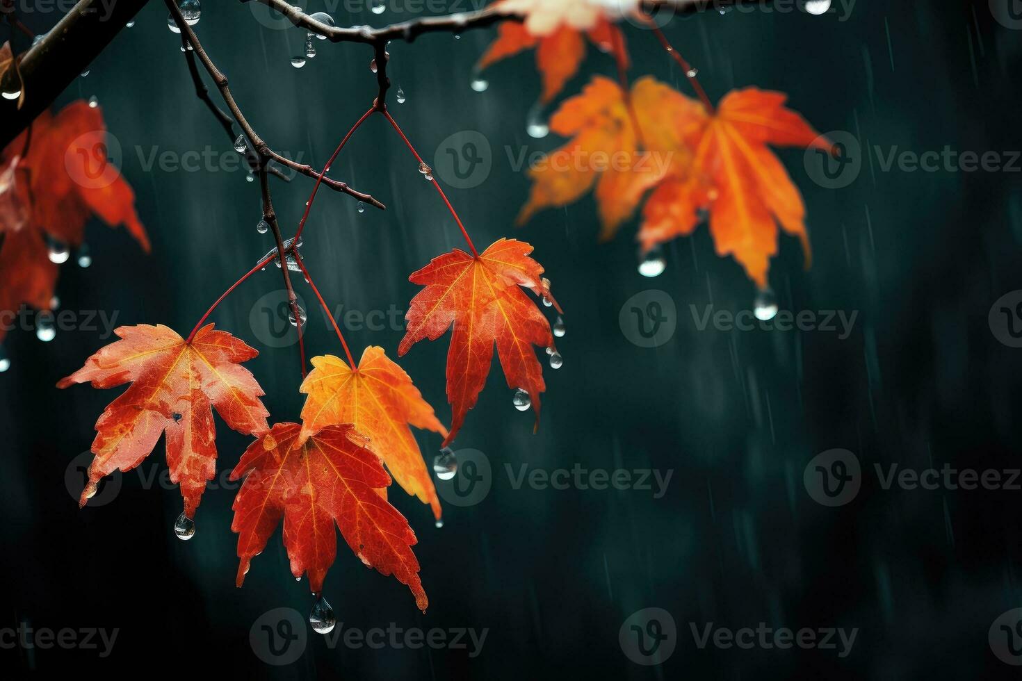 otoño hojas en el lluvia foto