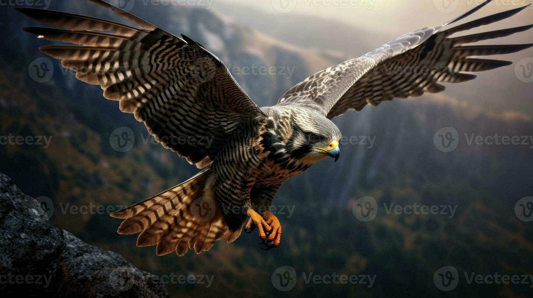 Flying falcon in the nature photo