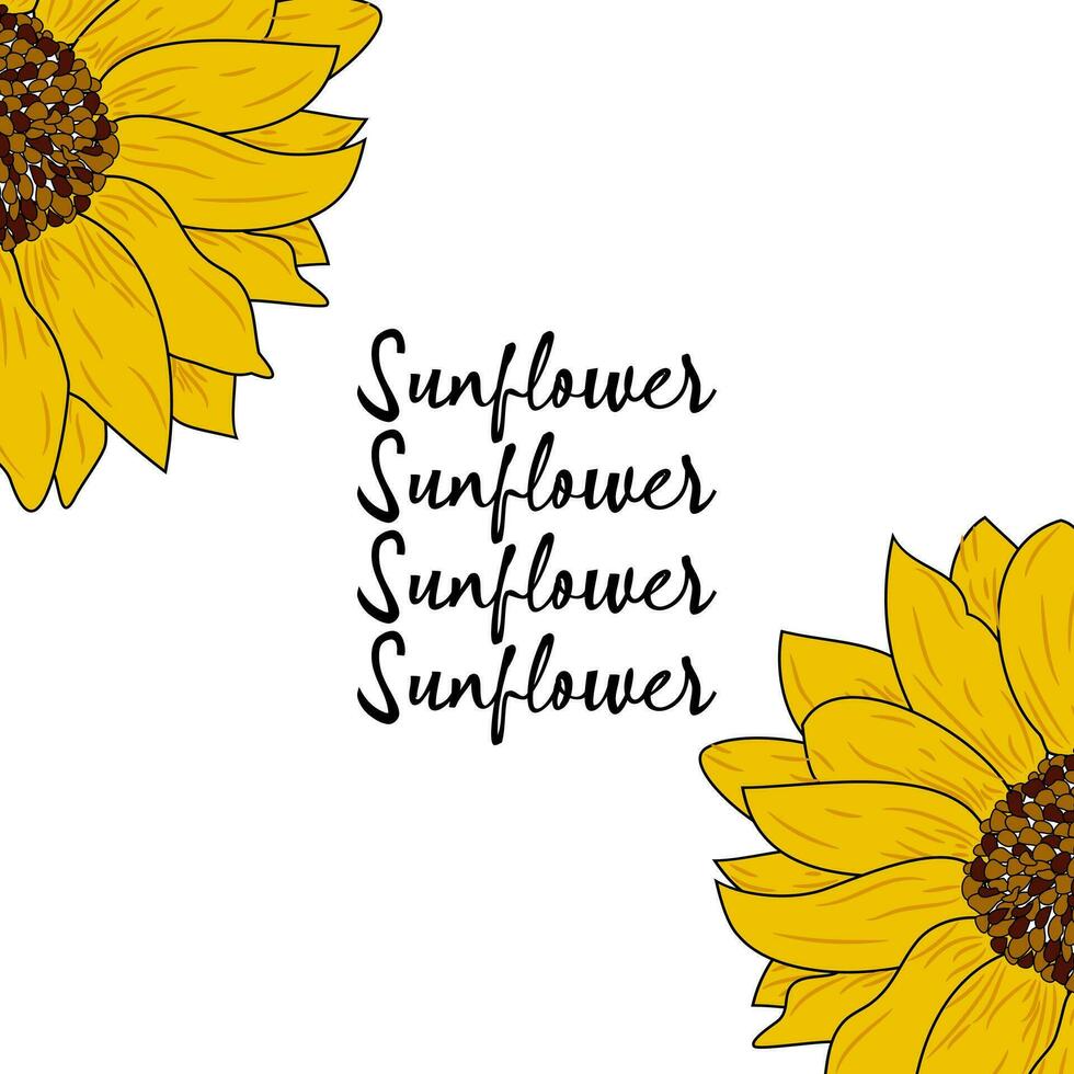 Realistic sunflower design vector