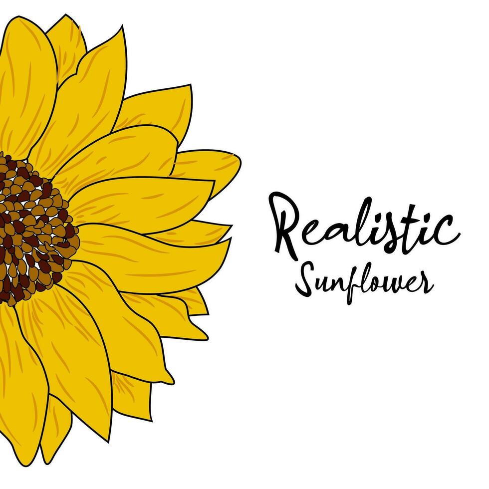 Realistic sunflower design vector