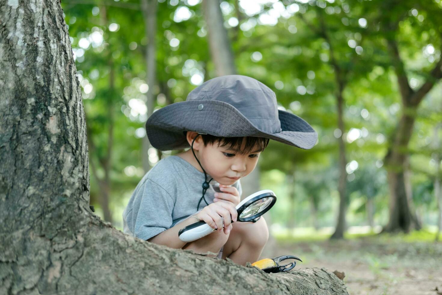 Asian boy wearing a hat in a forest exploration suit Use a magnifying glass to survey the tree area. photo