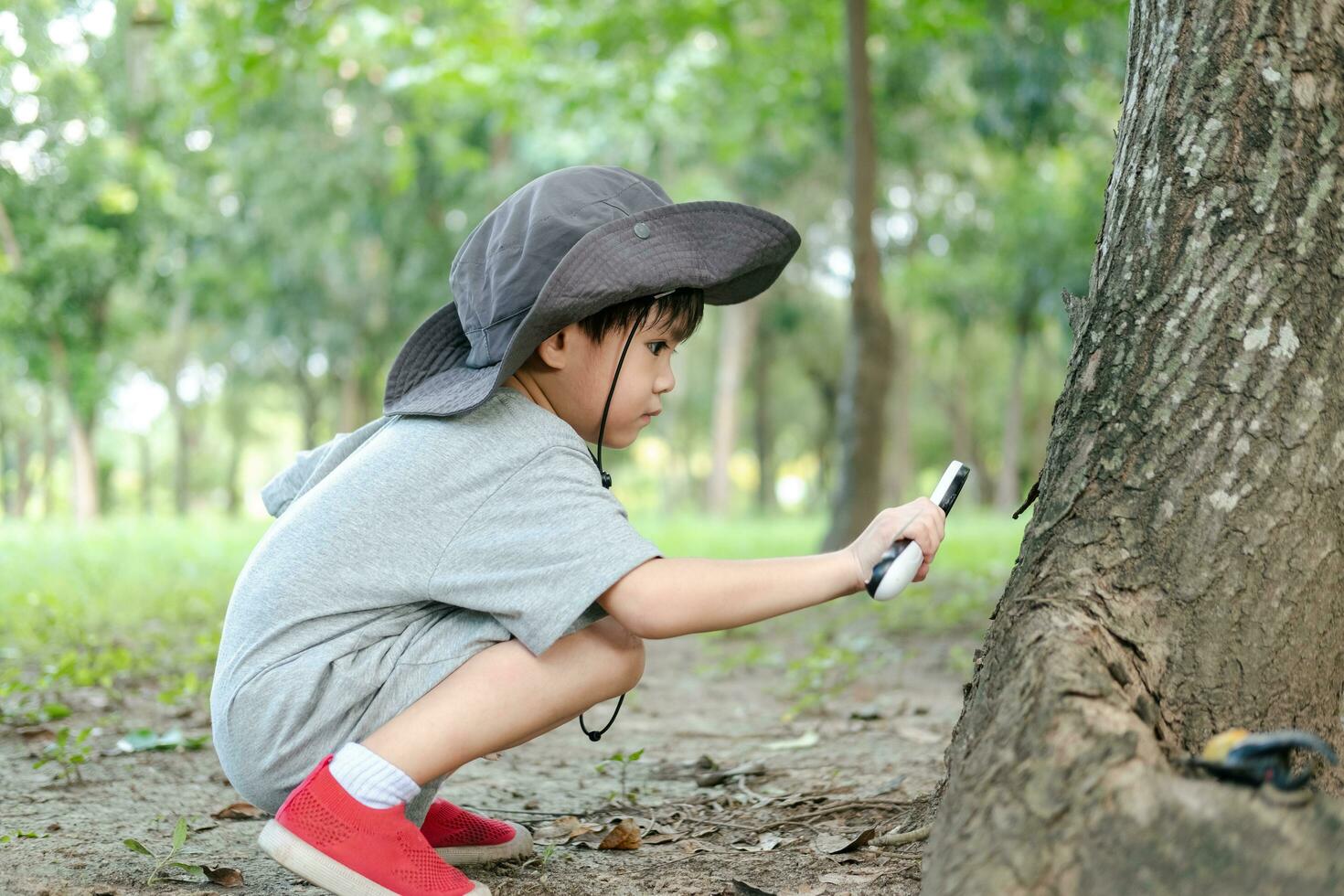 Asian boy wearing a hat in a forest exploration suit Use a magnifying glass to survey the tree area. photo