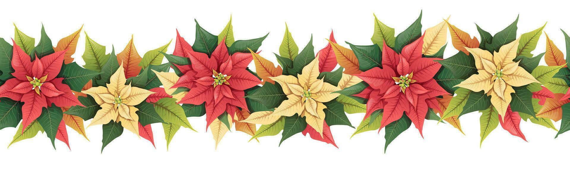 Seamless border with red and yellow poinsettia. Christmas ornament for decoration of cards, banners.Botanical vector illustration