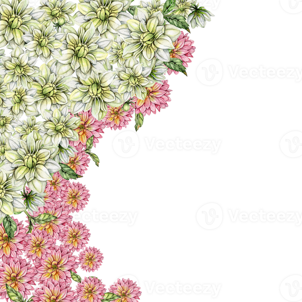 Watercolor dahlia flowers composition. png