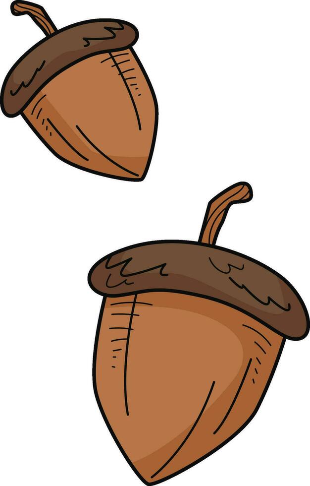 Acorn Stickers Illustration for web app, infographic etc vector