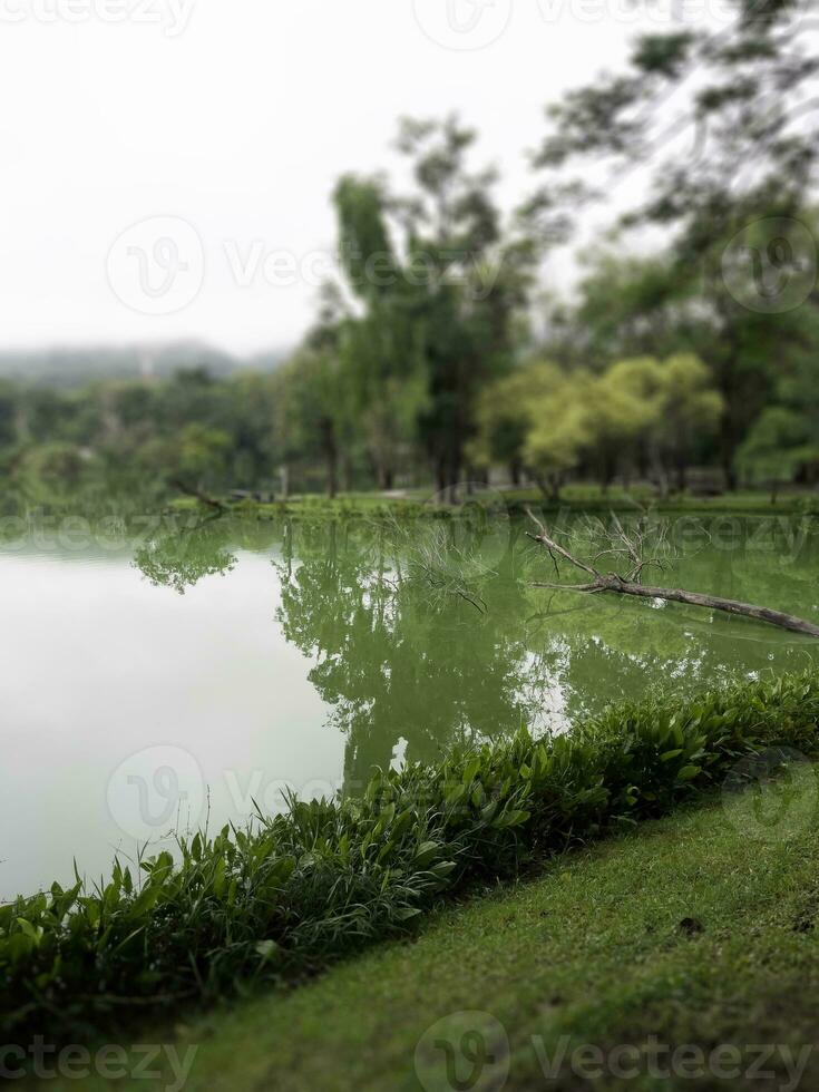 Evening cloudy sky reflected in lake photo