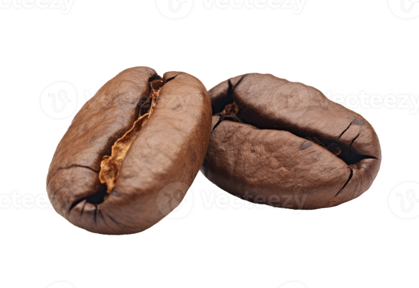 Close-up Two roasted coffee beans on transparent background png