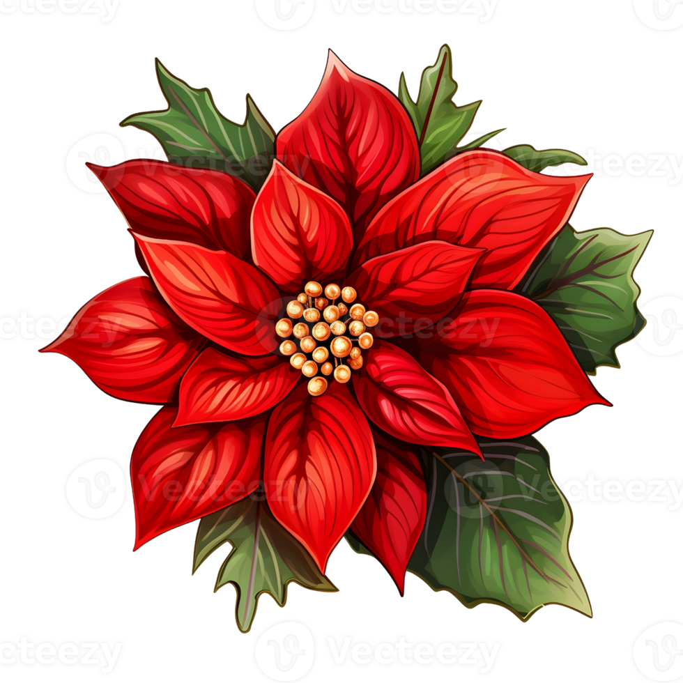 Poinsettias illustrations, ai generative png