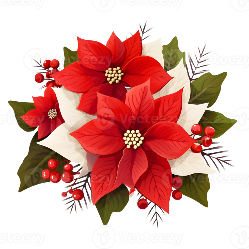 Poinsettias illustrations, ai generative png