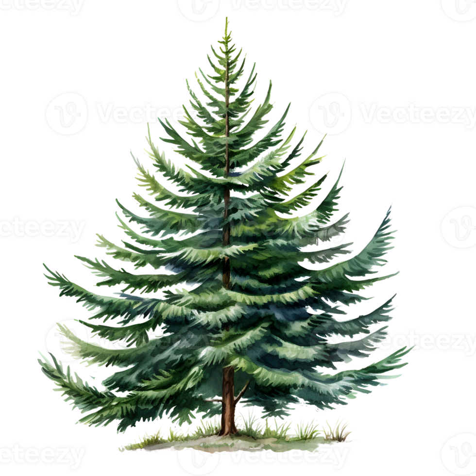 Christmas trees illustrations, ai generative png