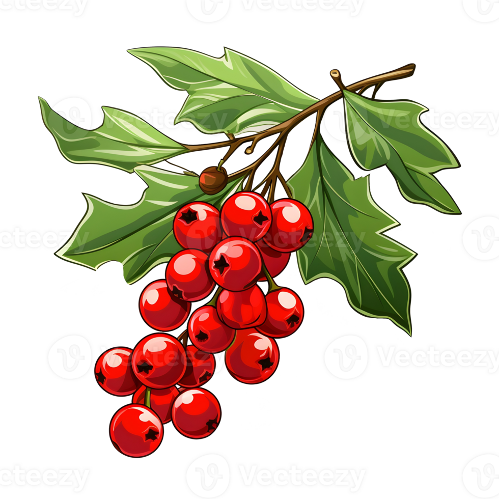 Branch of mistletoes illustrations, ai generative png