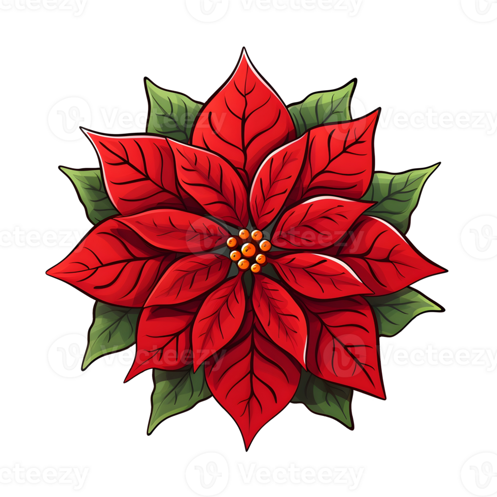 Poinsettias illustrations, ai generative png