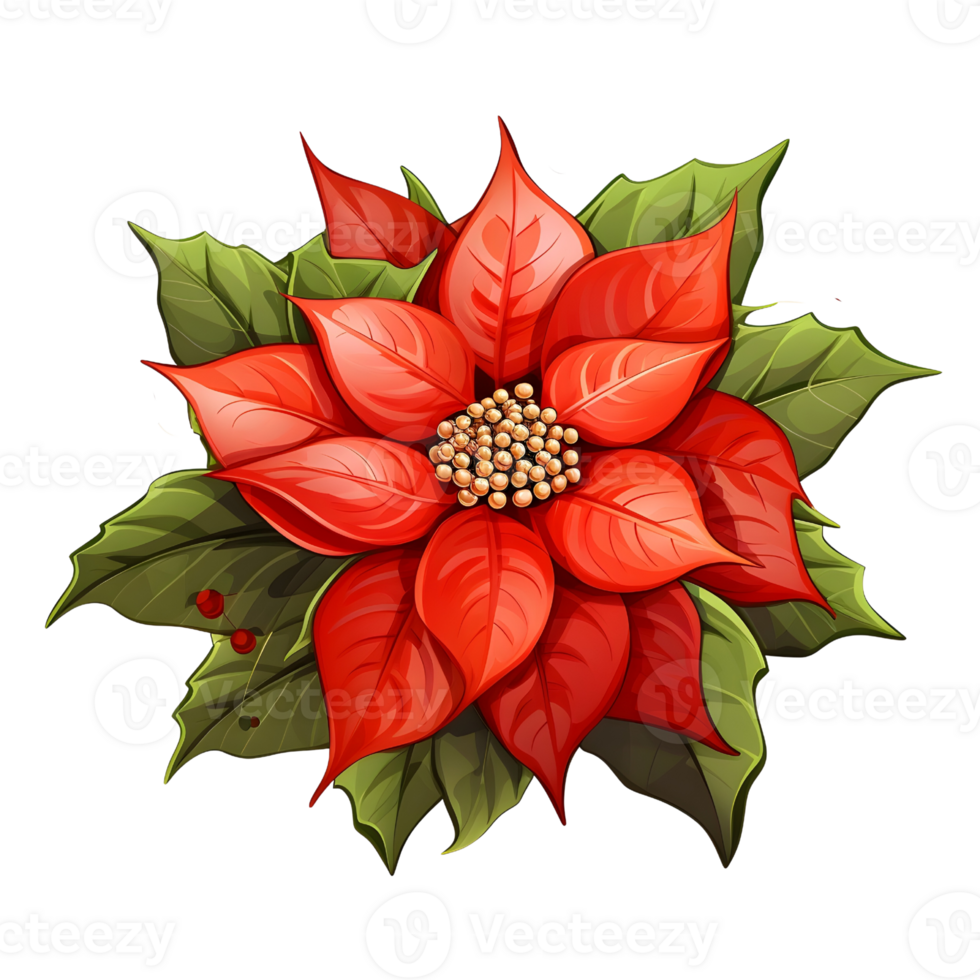 Poinsettias illustrations, ai generative png