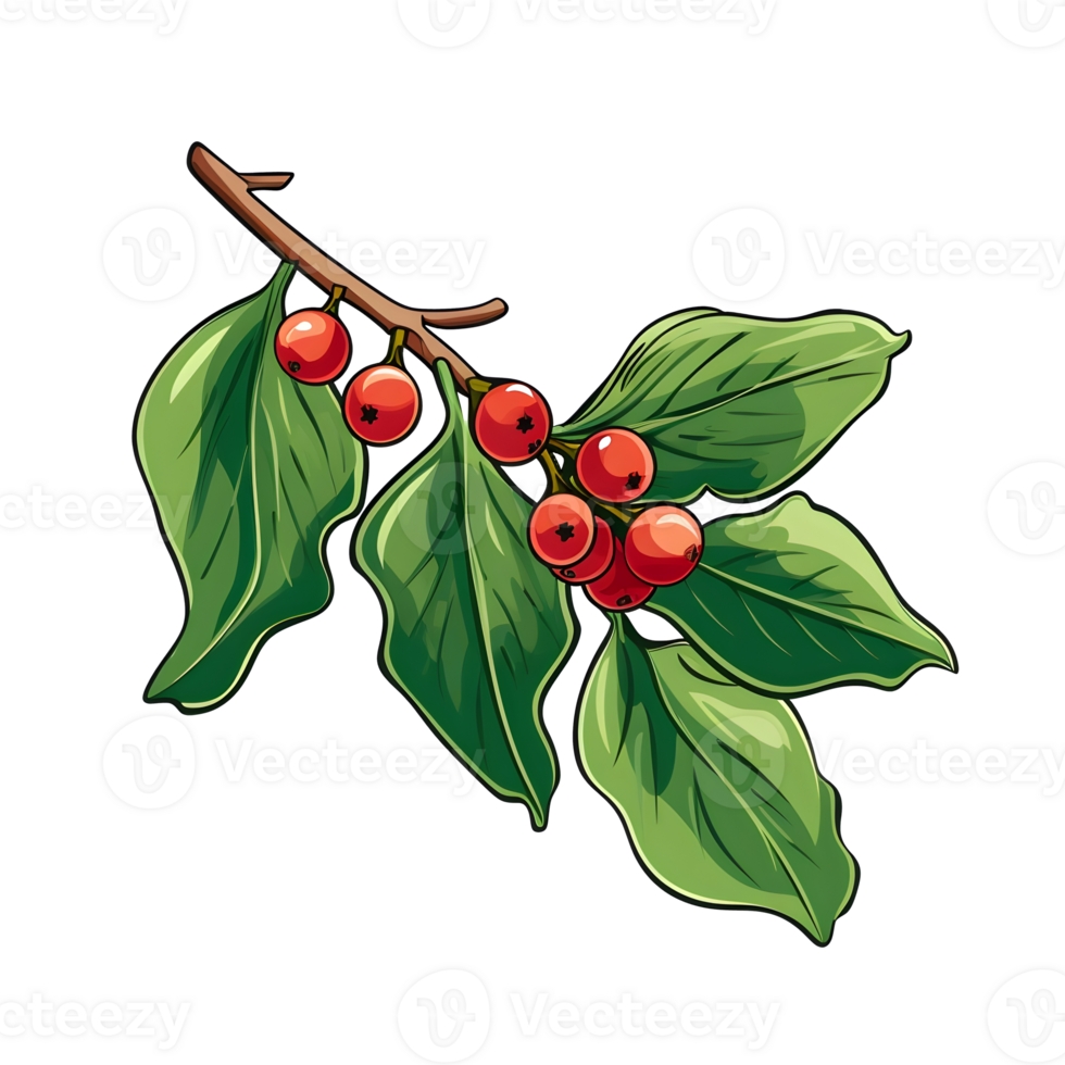 Branch of mistletoes illustrations, ai generative png