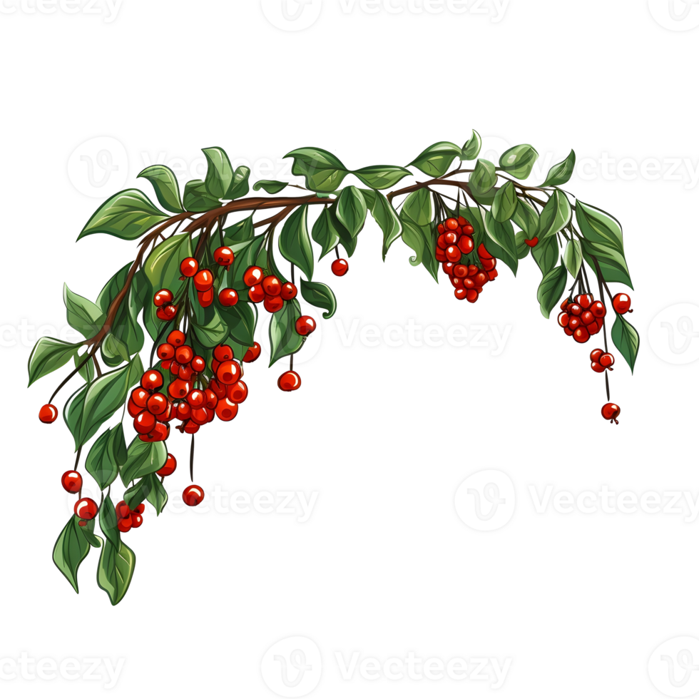 Branch of mistletoes illustrations, ai generative png