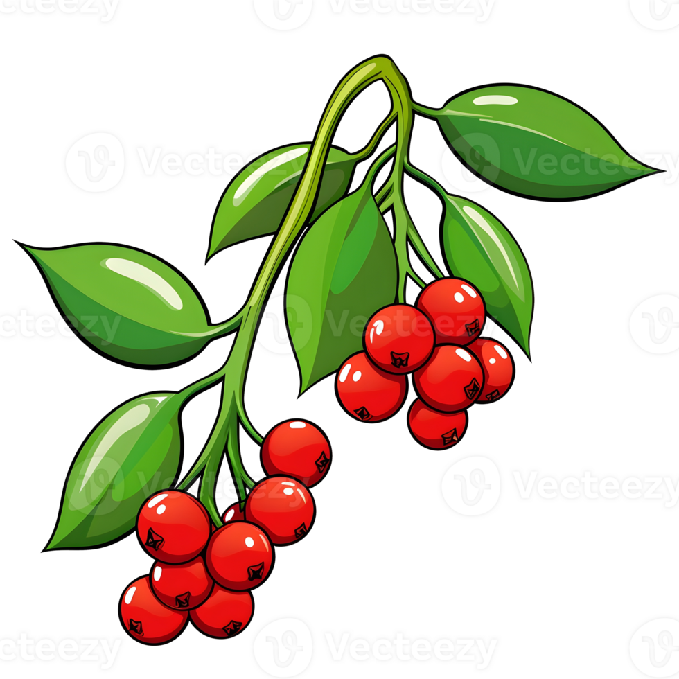 Branch of mistletoes illustrations, ai generative png