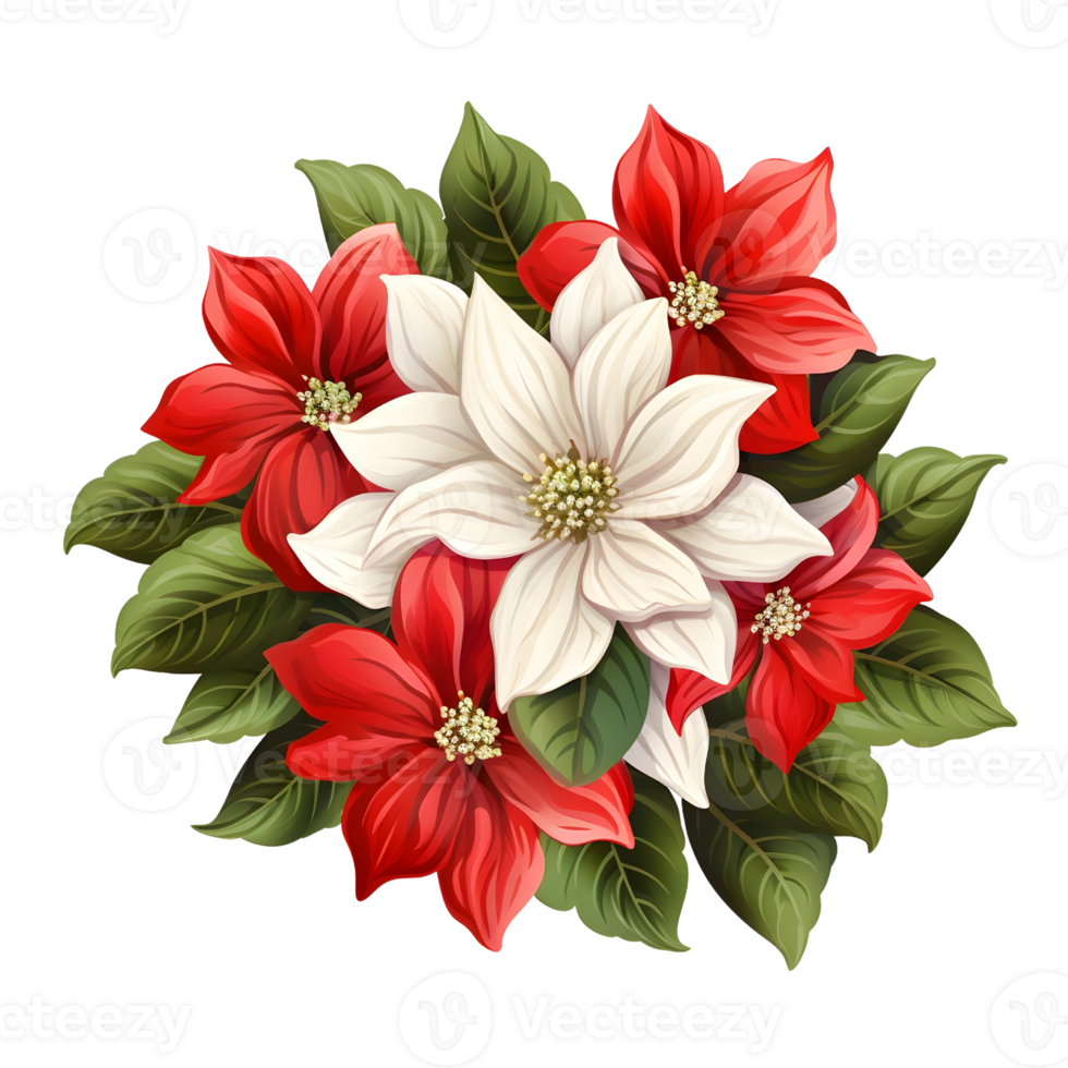 Poinsettias illustrations, ai generative png