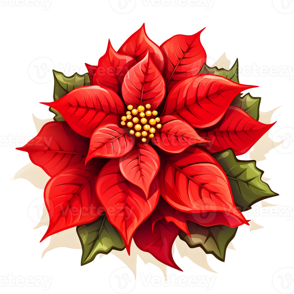 Poinsettias illustrations, ai generative png