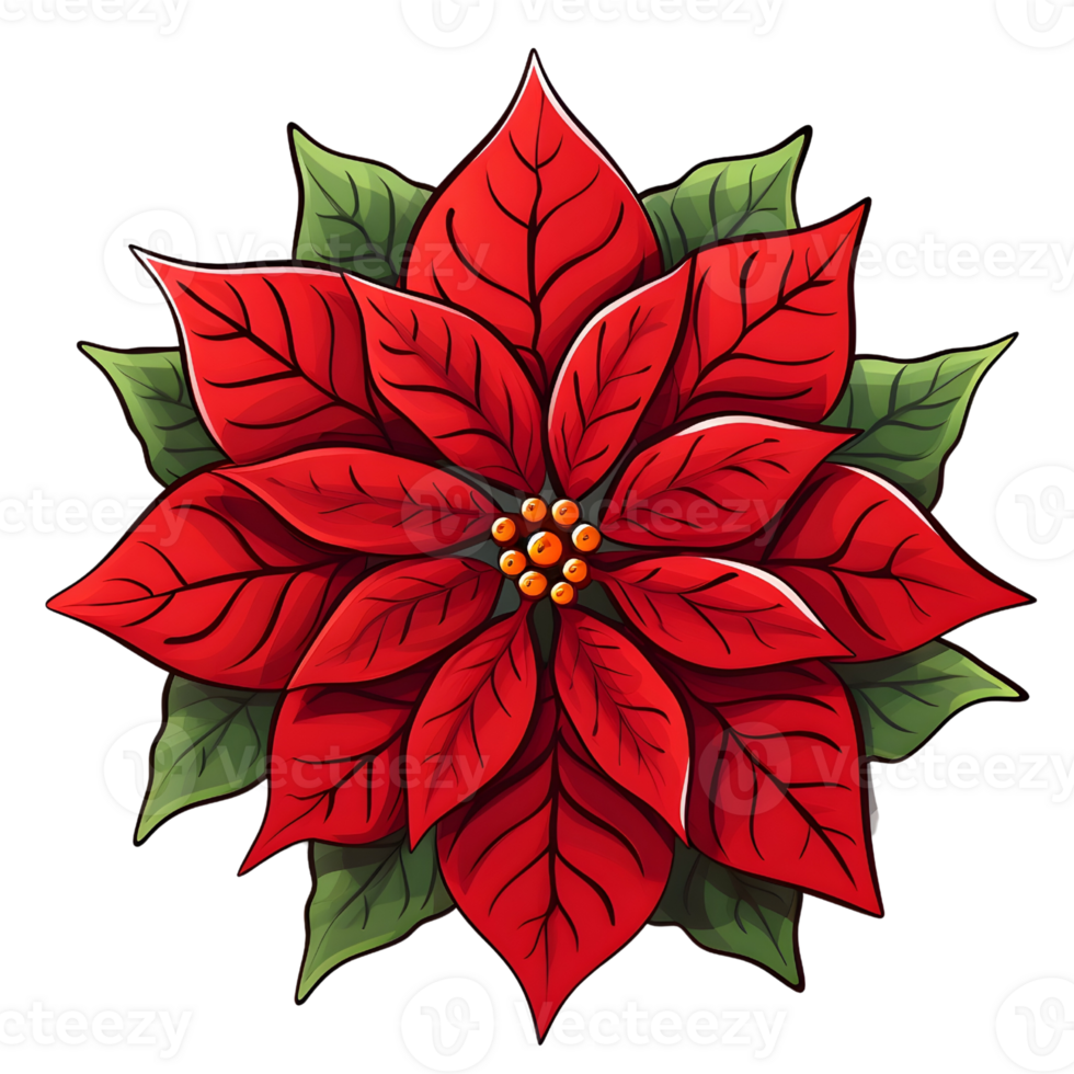 Poinsettias illustrations, ai generative png