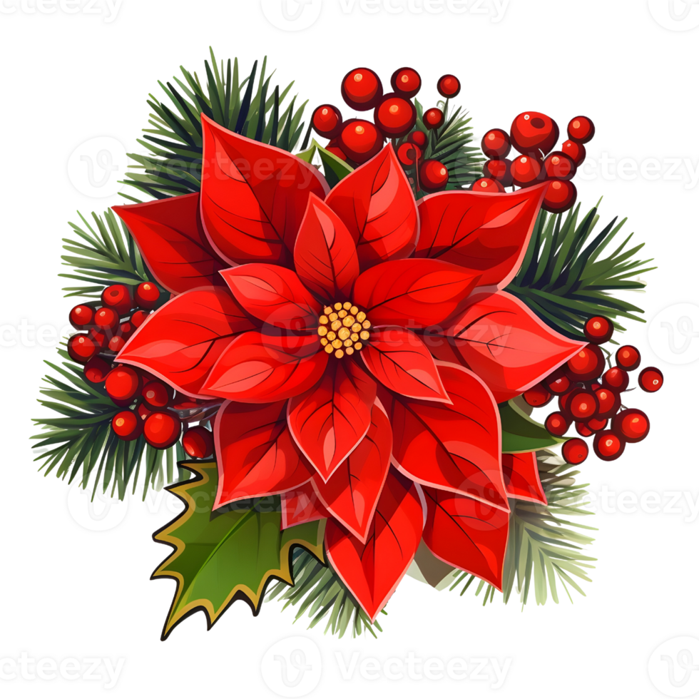 Poinsettias illustrations, ai generative png