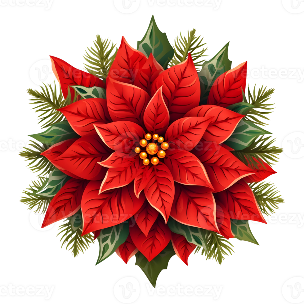 Poinsettias illustrations, ai generative png