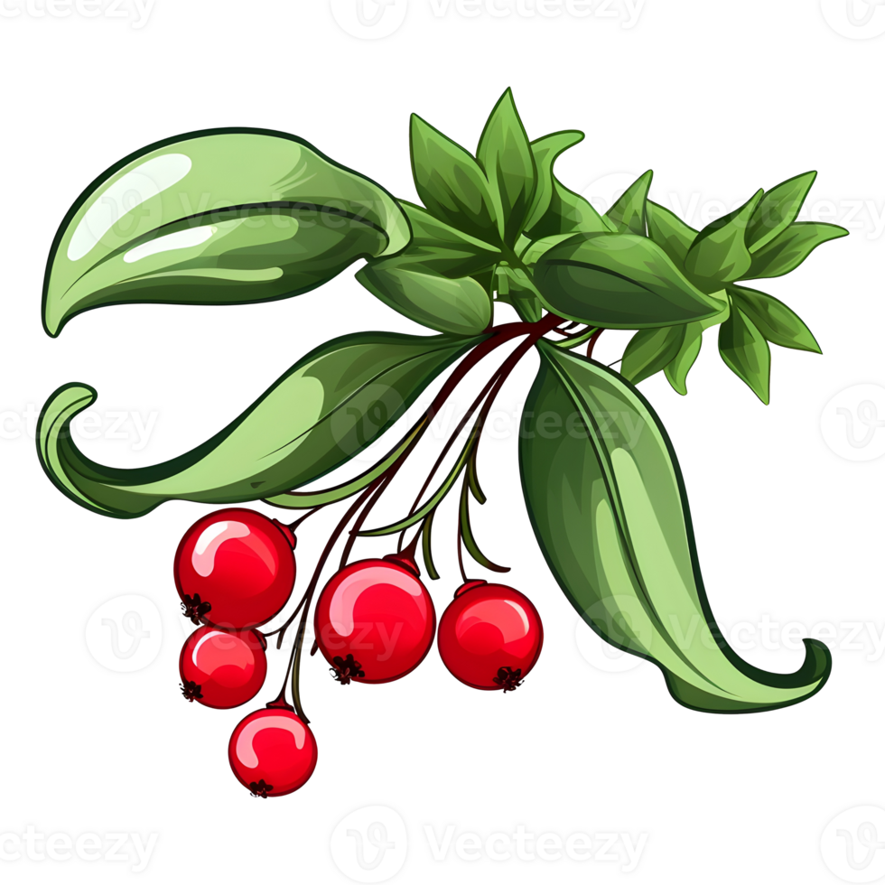 Branch of mistletoes illustrations, ai generative png