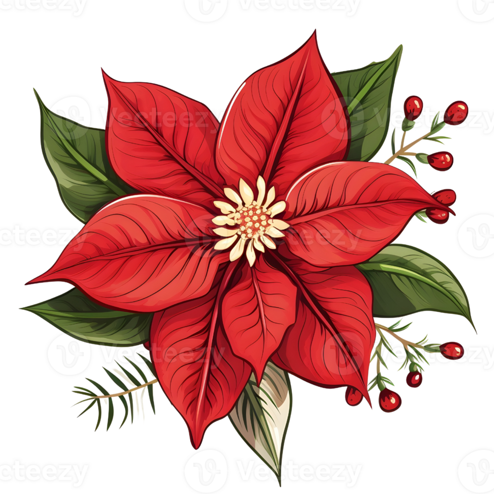 Poinsettias illustrations, ai generative png