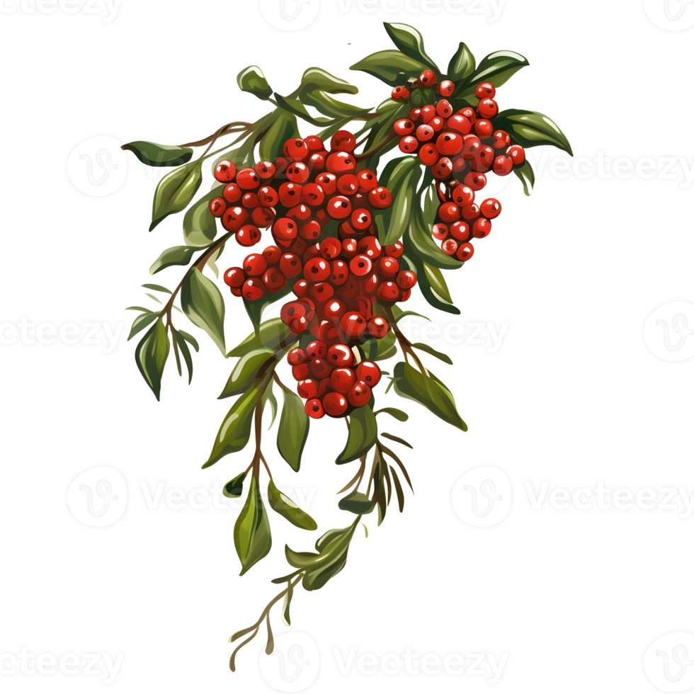 Branch of mistletoes illustrations, ai generative png