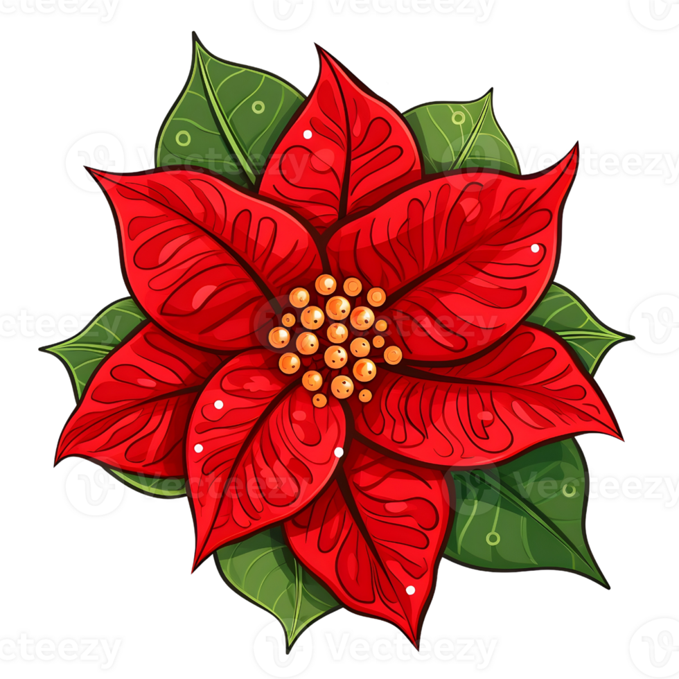 Poinsettias illustrations, ai generative png
