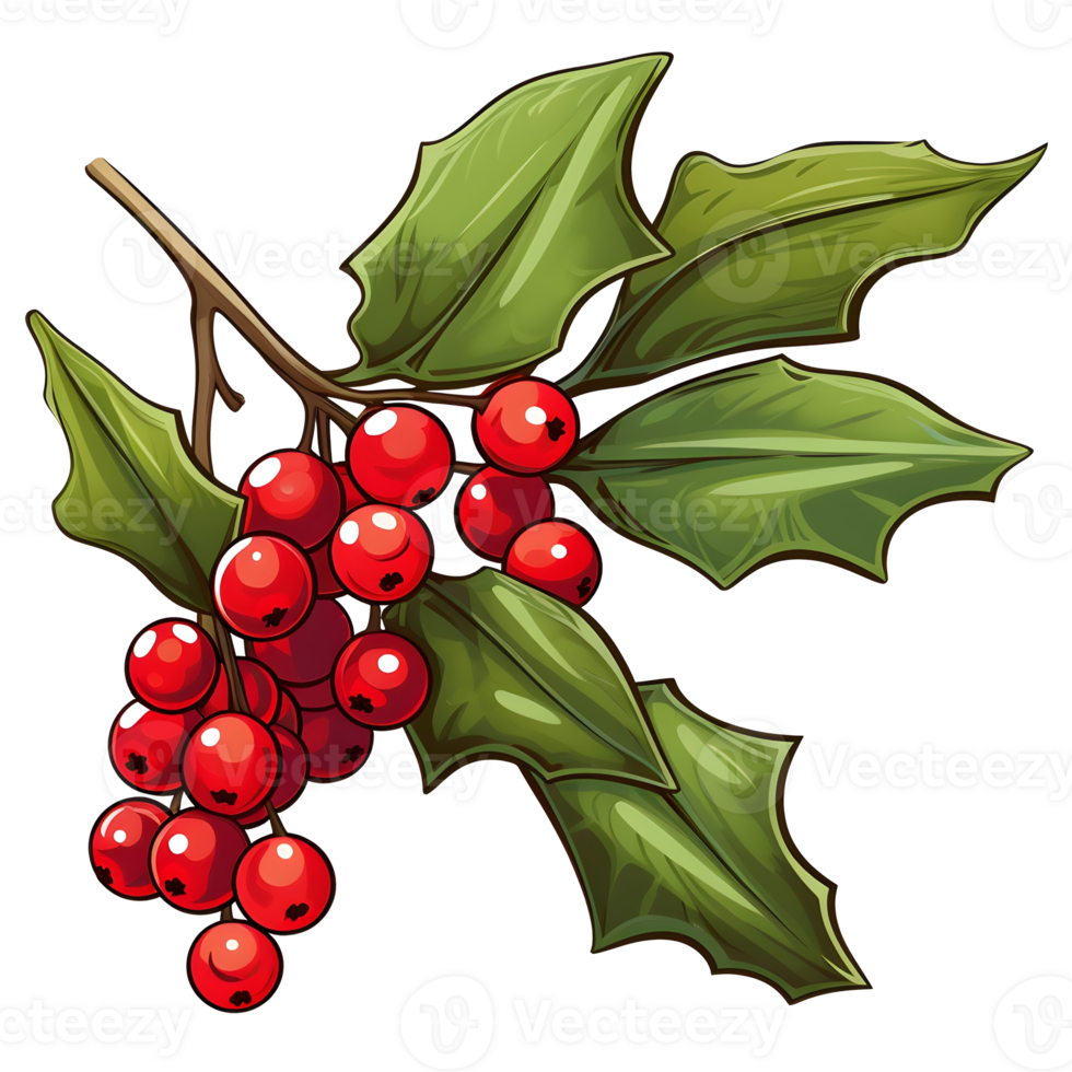 Branch of mistletoes illustrations, ai generative png