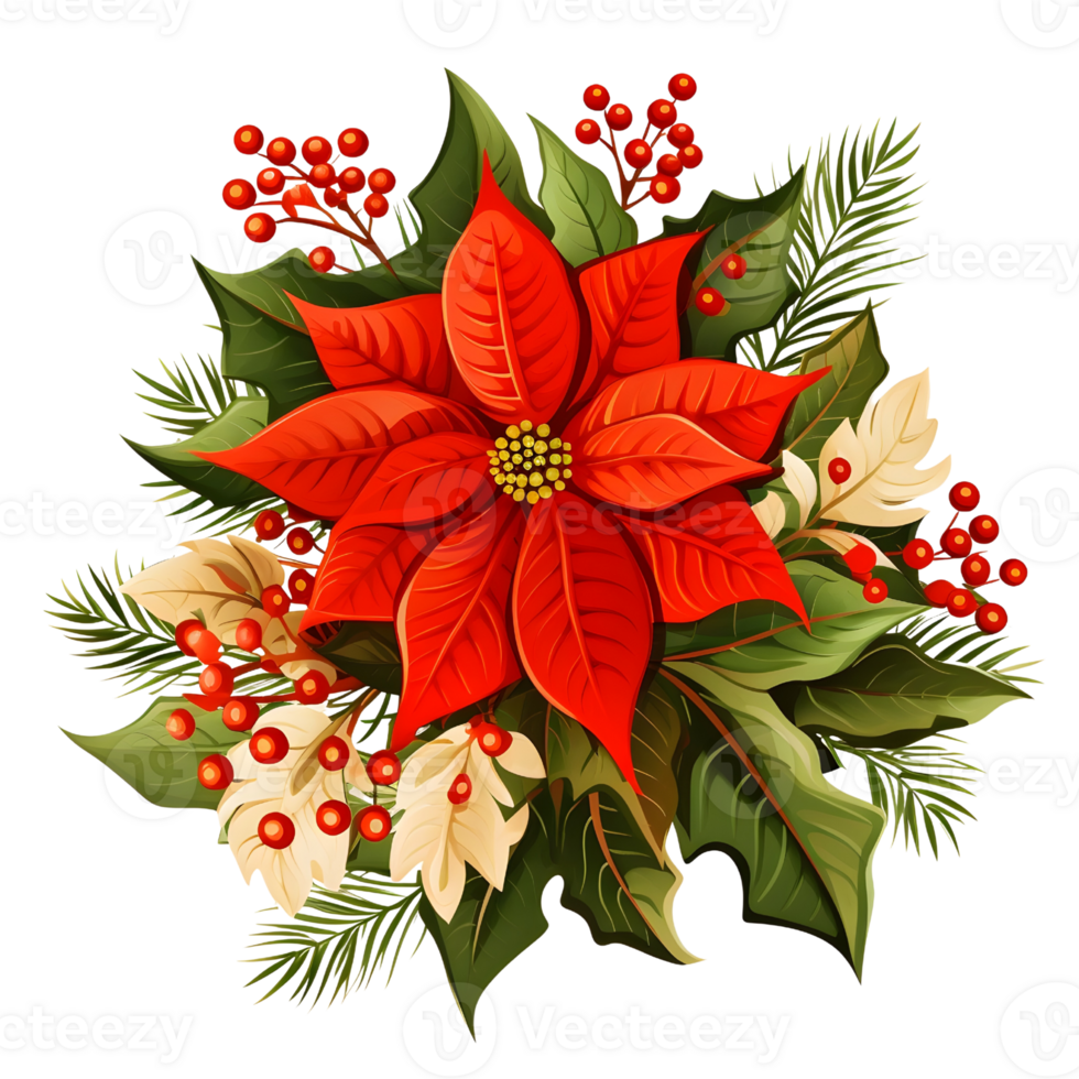 Poinsettias illustrations, ai generative png