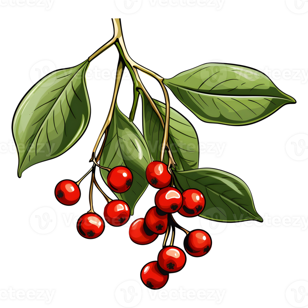 Branch of mistletoes illustrations, ai generative png
