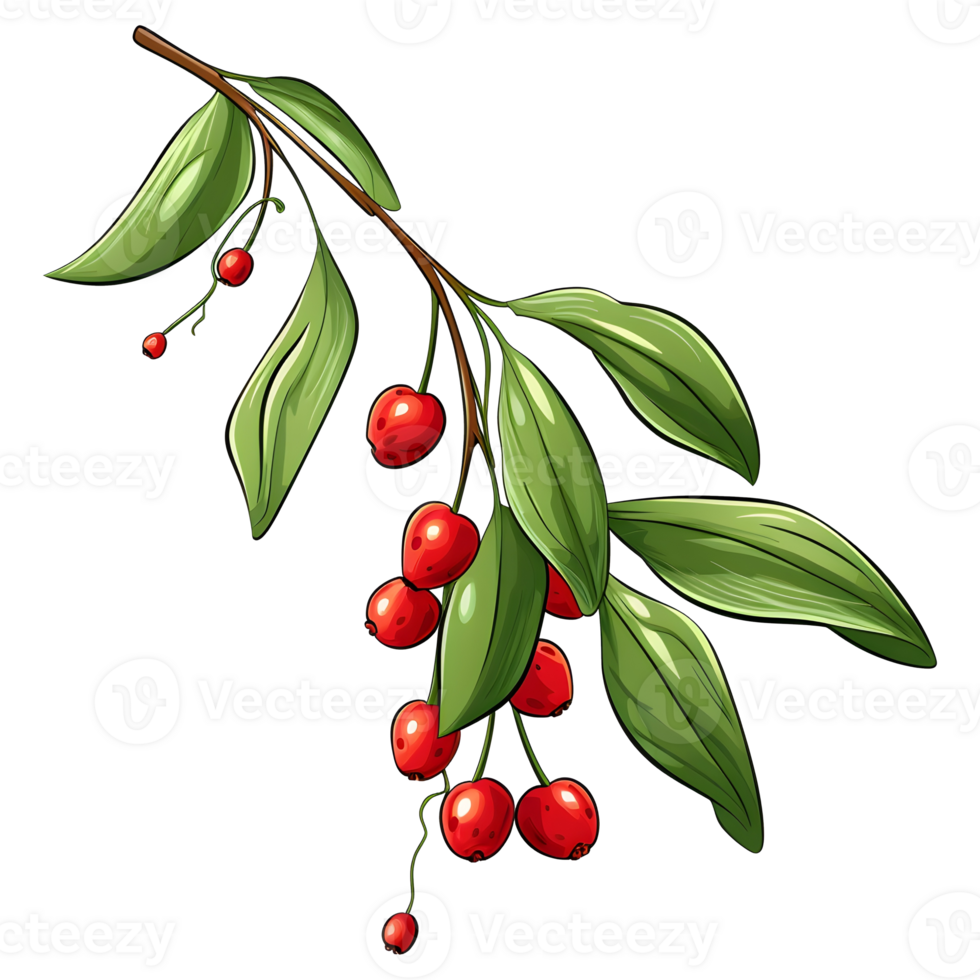 Branch of mistletoes illustrations, ai generative png