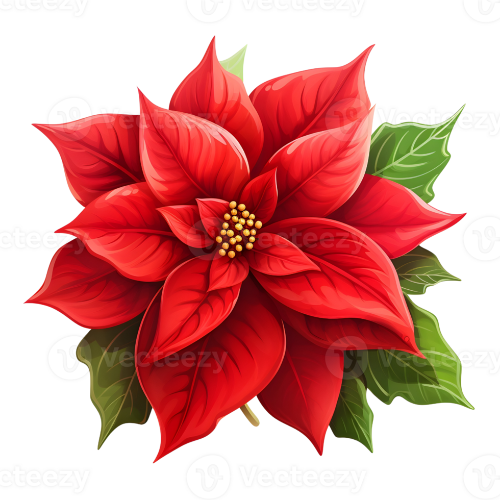 Poinsettias illustrations, ai generative png