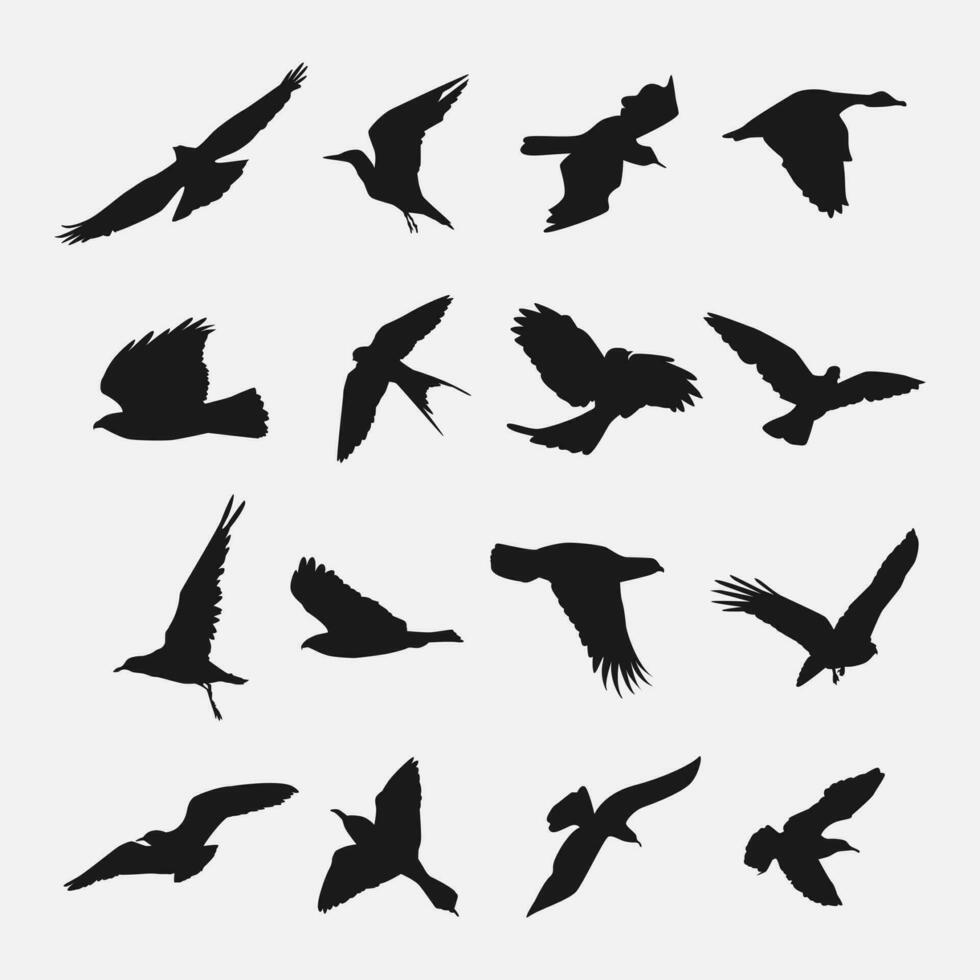 set of flying bird silhouettes. vector illustration.